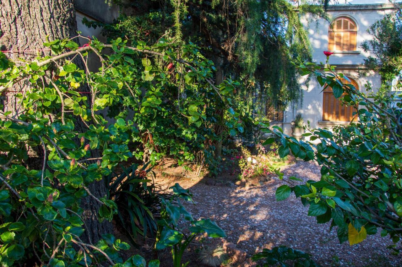 Cane B&B Montevideo Extérieur photo