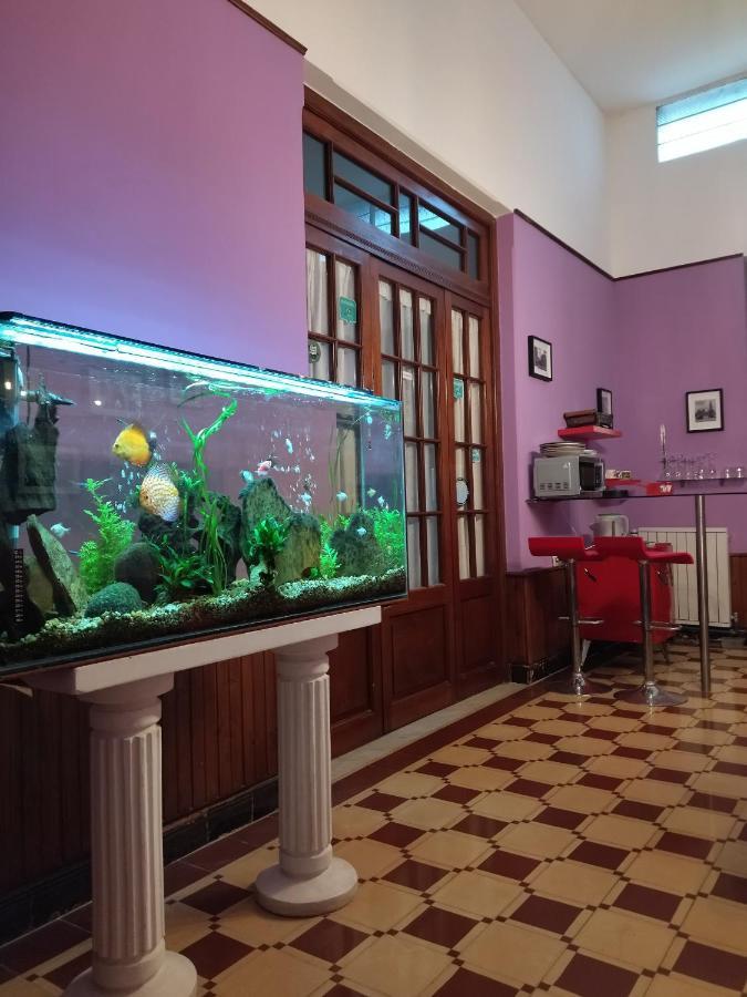 Cane B&B Montevideo Extérieur photo