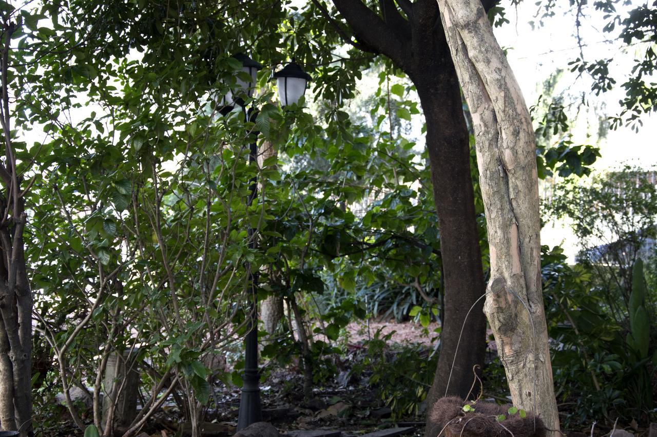 Cane B&B Montevideo Extérieur photo